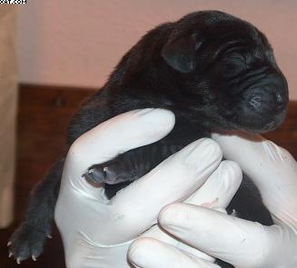 Fischbach Vom Regenbogental