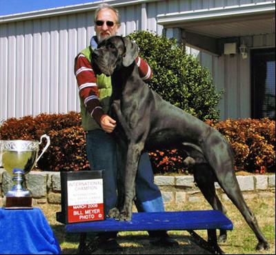 Anubis Vom Hause Wagner