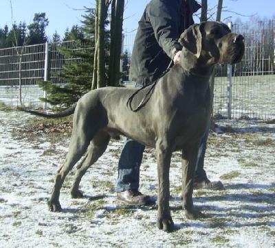 Jupp Von Der Wolfshhle