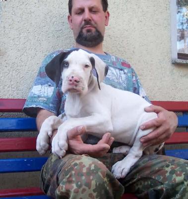 Odin Vom W�chterberg