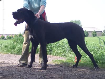 Ornella Vom W�chterberg