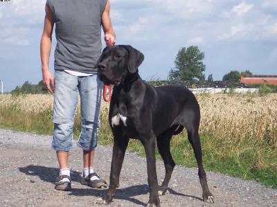 Ornella Vom W�chterberg