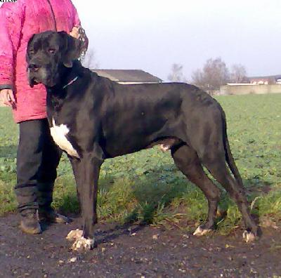 Obadja Vom Wchterberg