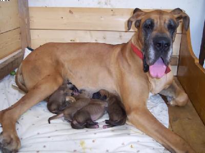 Pearl Vom W�chterberg