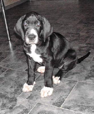 Evania Vom White Temple