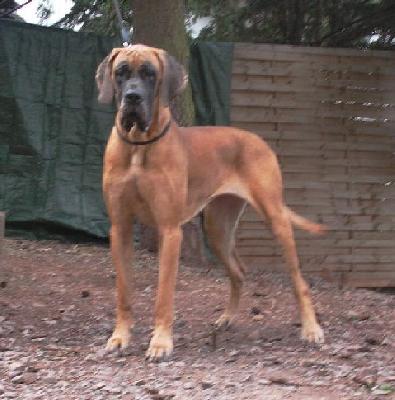 Gloria Vom Regenbogental