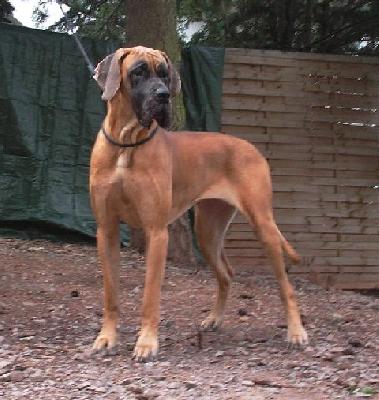 Gloria Vom Regenbogental