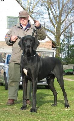 Enno Von Der Stadt Lneburg