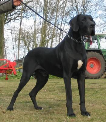 Enno Von Der Stadt Lneburg