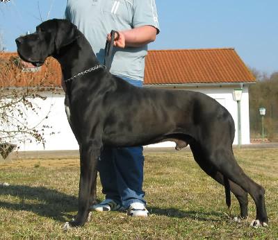 Aron Vom Harbker Schlo�