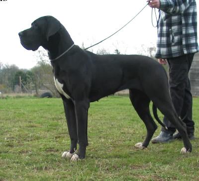 Ashley Vom Harbker Schlo�