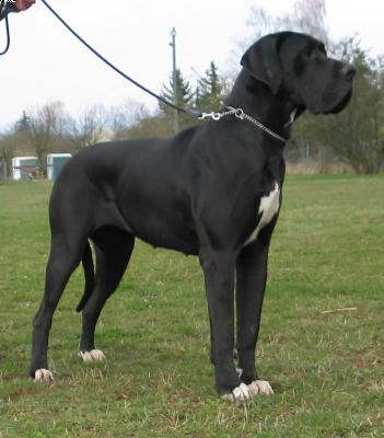 Ashley Vom Harbker Schlo�