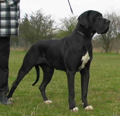 Ashley Vom Harbker Schlo�