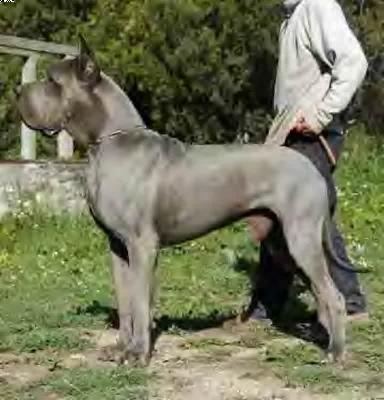 Ch Uxalanda De La Benjamine