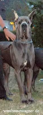 Ch Uxalanda De La Benjamine