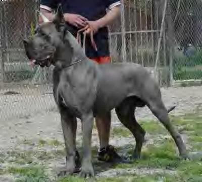 Ch Uxalanda De La Benjamine