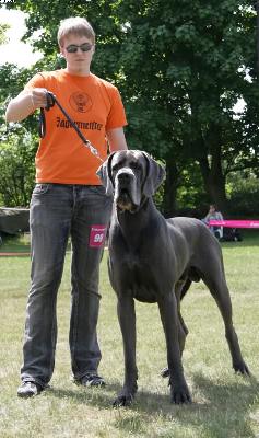 Largo Von Gigantic Blau