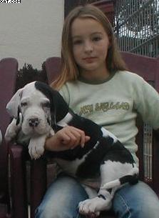 Queene Von Schlesien