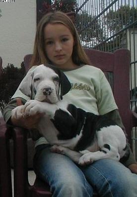 Queene Von Schlesien