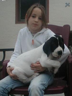 Qatarina Von Schlesien