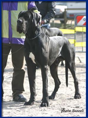 Thiago Della Baia Azzurra
