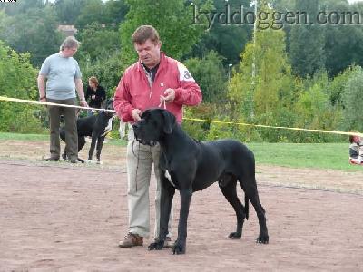 Thiago Della Baia Azzurra