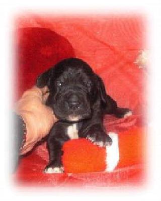 Finja-sharon Vom White Temple