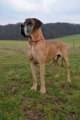 Clinton Vum Rotscheid