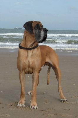 Clinton Vum Rotscheid