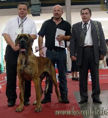 Ch Bruno Des Terres De La Rairie