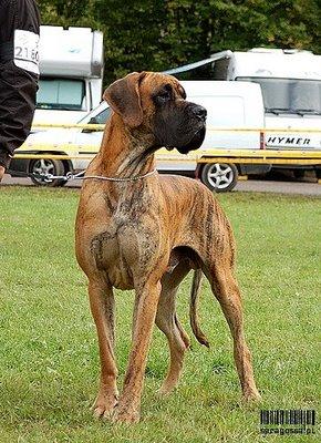 Ch Bruno Des Terres De La Rairie