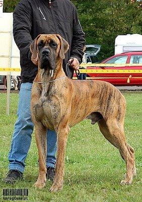 Ch Bruno Des Terres De La Rairie