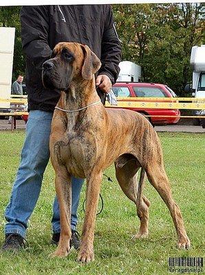 Ch Bruno Des Terres De La Rairie