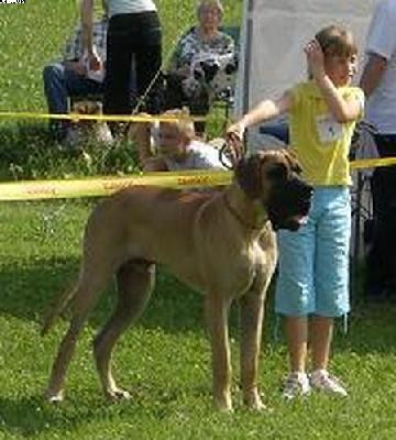 Konrad Vom Sprendlinger Tal