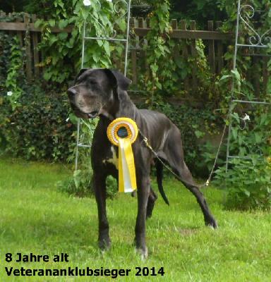 A Black Queen Vom Waldfrieden