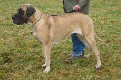 Bahia Brava Nuevo Empezando