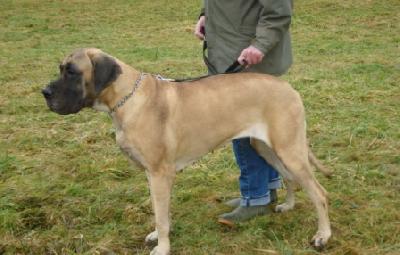 Bahia Brava Nuevo Empezando