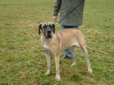 Bahia Brava Nuevo Empezando