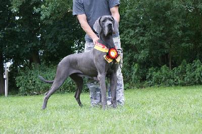 Ch Helix Vom Hause Wagner