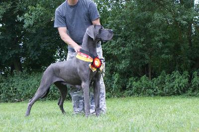 Ch Helix Vom Hause Wagner