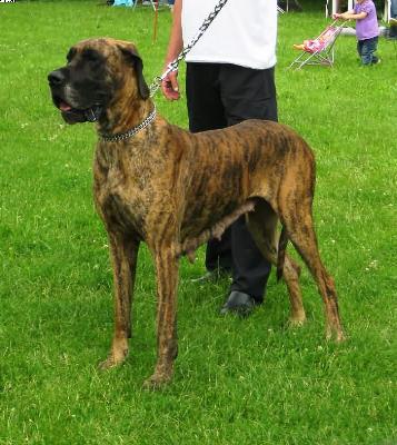 Djuna Von Mont Cenis