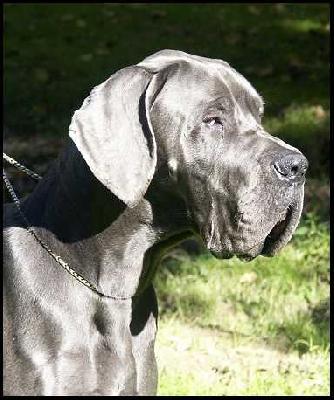 Uron De La L�gende Des Nymphes Bleues