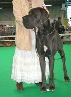 Uron De La Lgende Des Nymphes Bleues