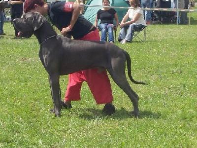 Uron De La Lgende Des Nymphes Bleues