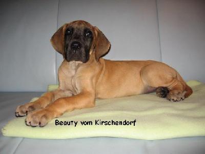 Beauty Vom Kirschendorf