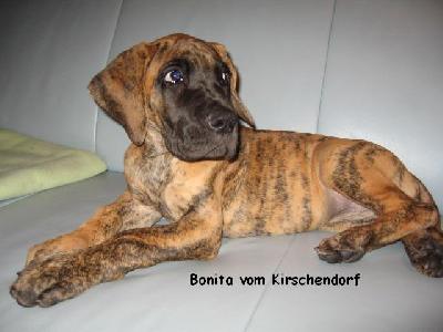 Bonni Vom Kirschendorf