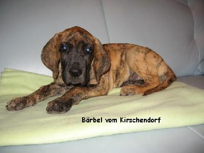 B�rbel Vom Kirschendorf