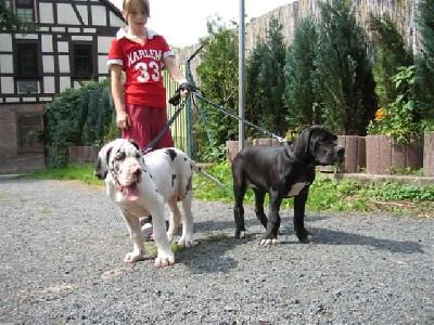 Yumana Von Schlesien