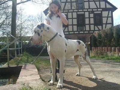 Yumana Von Schlesien