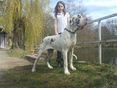 Yumana Von Schlesien